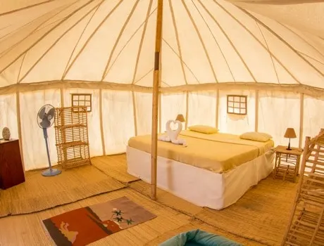 IMG_7826-HDR_SOG-crop_39dec_lg