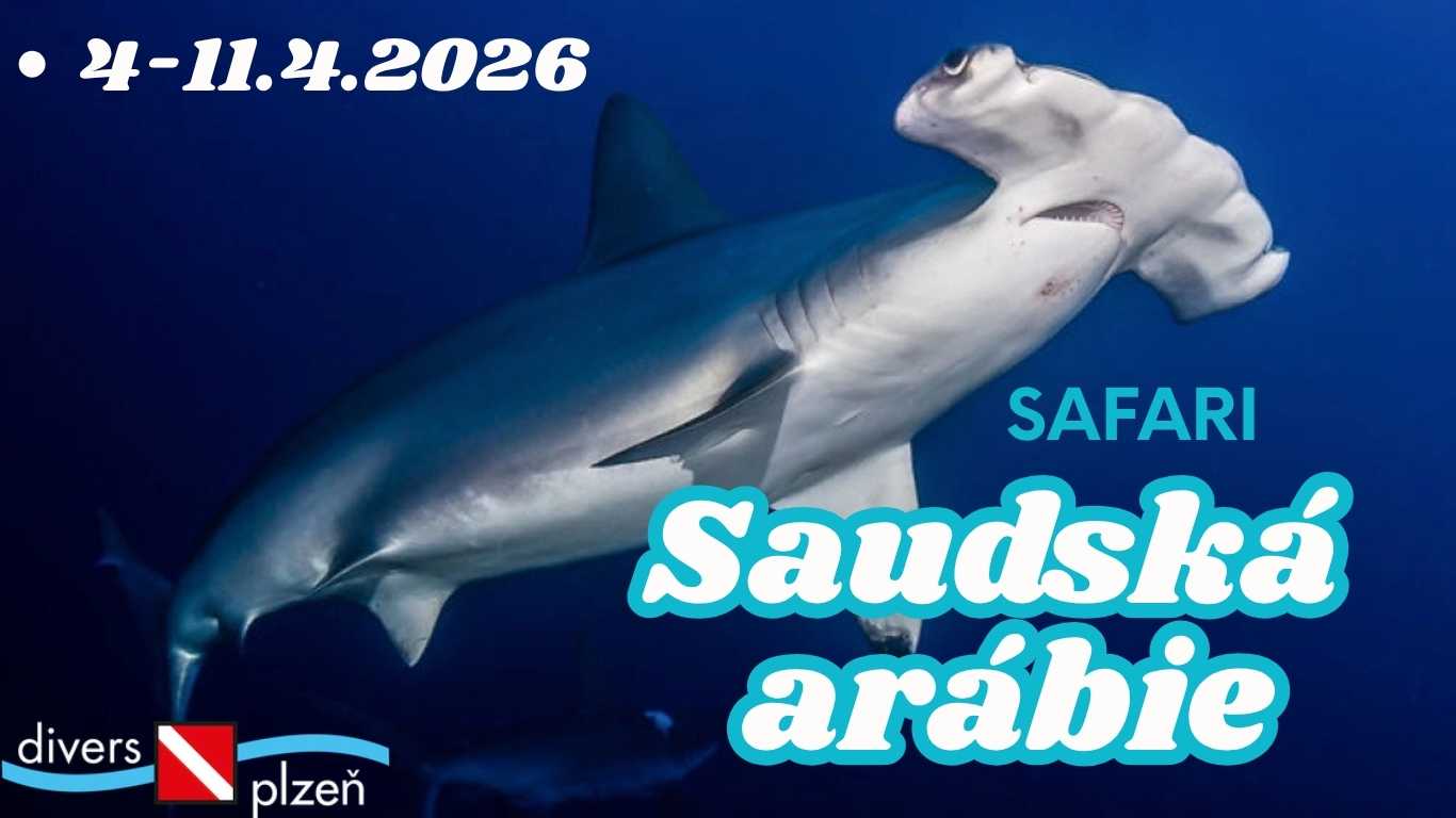 4-11.4. ´26 Saudská Arábie: OBSAZENO