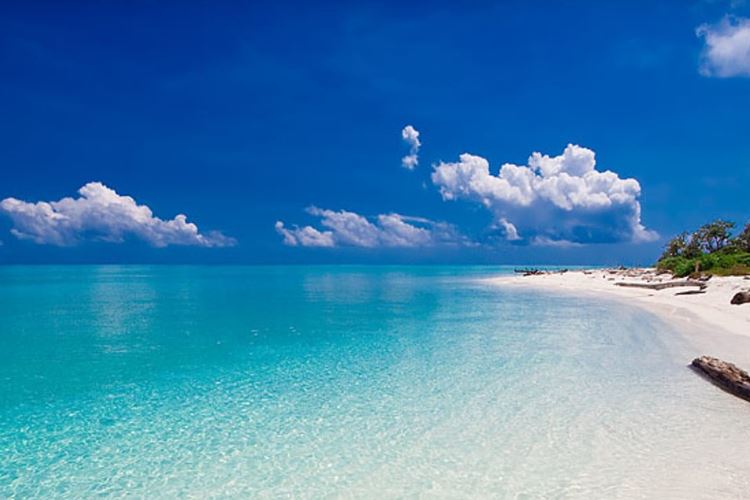 tubbataha-safari-foto