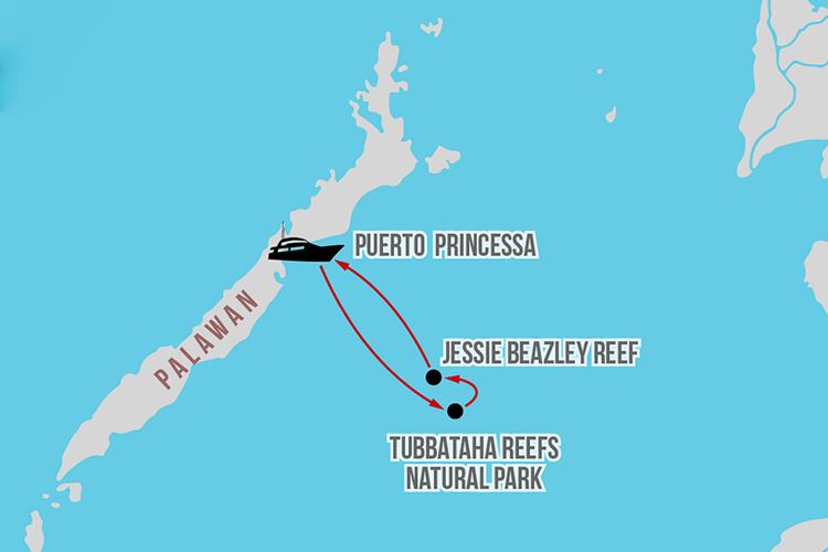 tubbataha-safari-foto-17