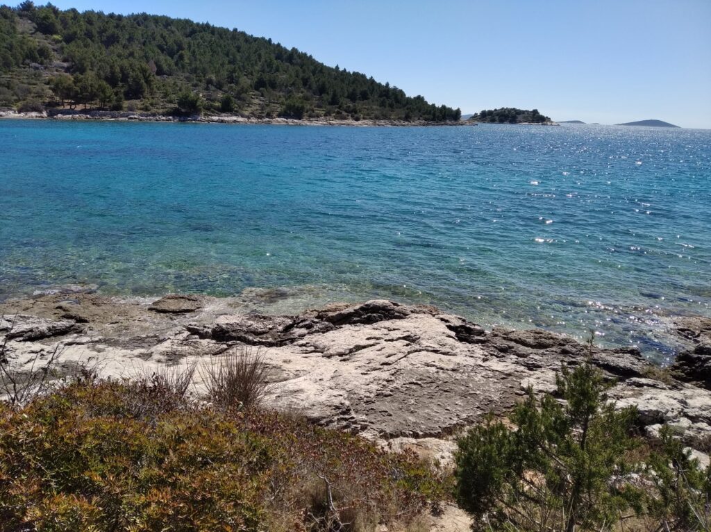 174412411_167896538527552_8364546245350747272_n