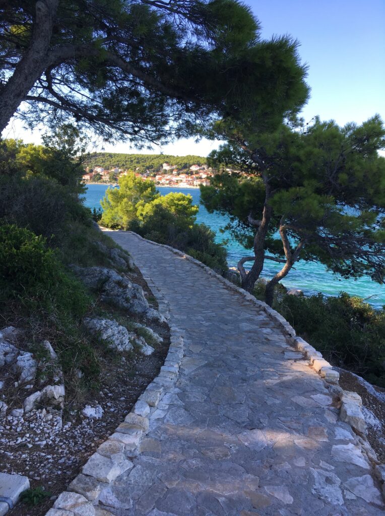 175881125_167896431860896_1328819846370914491_n