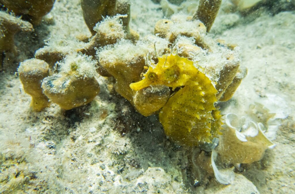 474688874_1125818372887202_2608852275171748896_n