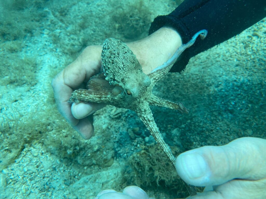 475875908_1132914318844274_5641567094596213711_n