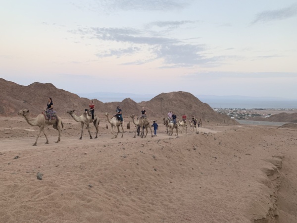 IMG_2988-600x450 - kopie